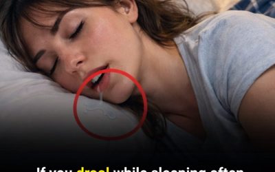 Nighttime drooling isn’t always harmless — these 6 conditions could be warning signs. Drooling While Sleeping — “6 Diseases”? Not Exactly. Here’s the Real Story https://images.openai.com/static-rsc-4/xWTJxaRJUp6_vl3JNljgKNtfTPgMUBVRR1MhSzSKMyp_lZmt4P9KwFxFE7schSB0R-pjml0W9lYUhtPmwz2HA9Xwk8Vmw-pFbzb72PeVCdoPLeIF-rzNg-8HHfdmM6O1phJ4l_eJ51SnnBlNMIcaIXwz0VuXSe6KU29fw9T1SyDgsrN1Z4FtLk9gdj2r0eHU?purpose=fullsizehttps://images.openai.com/static-rsc-4/4PynKqIQApXfFBzyGiJVFD-01MeHRbYJNQEBlobeMeVFf60FiEfZLLtYWSzoBUJfrV5P0re1M0G919BC-l7qKoZ7zGH7dWmdaDx9oVN9AiW56CXwjqA7lDam0GS–gpNu1N8N2QjdO1qAzjTna4LMRTThyQsGZNeiBOFrK51cZvUMQzprI7pul7Jfp_Cd4qH?purpose=fullsizehttps://images.openai.com/static-rsc-4/aO9sXjkC4E7QzULsfknSTh0FKxndp-aY4q_wnpMAKYvV66lcks-RZmwC3CwJq9ik9pQ7VkJ3Zr5EJkvHyI2B_uK-tKtlv7zQRcCf25Mu5q0sfCxEeJ8BYv-J9EO9wa10Cad8Lt7n7RAK-ZynpphkCLLIfHhnwca099N7f0h9rY8VpVPp6ipDeA5CG8ZxoZ8b?purpose=fullsize6