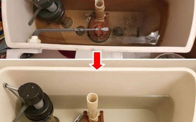 How to Clean Your Toilet Flush and Make It Look Like New